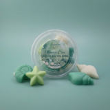 Oceanica Spa Organic Soy Wax Melts by The Angelina Store. Beautiful clear container filled with premium organic soy wax melts, surrounded by individual shaped melts including a starfish, nautilus shell, and conch shell. Part of the calming Oceanica Spa Collection with soothing sea-inspired fragrances. Natural home fragrance wax melts perfect for wax warmers and creating a relaxing coastal atmosphere.