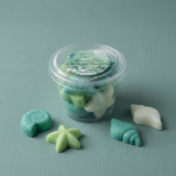 Oceanica Spa Organic Soy Wax Melts by The Angelina Store. Beautiful clear container filled with premium organic soy wax melts, surrounded by individual shaped melts including a starfish, nautilus shell, and conch shell. Part of the calming Oceanica Spa Collection with soothing sea-inspired fragrances. Natural home fragrance wax melts perfect for wax warmers and creating a relaxing coastal atmosphere.